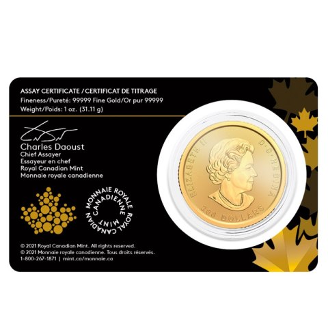 1 oz Klondike Gold Rush 2021 – złota moneta próby .99999 w kapslu ochronnym