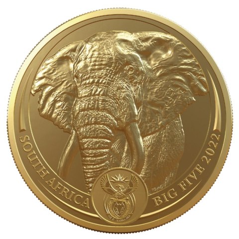 1 oz Wielka Piątka Afryki Słoń 2022 – złota moneta South African Mint, awers ze słoniem