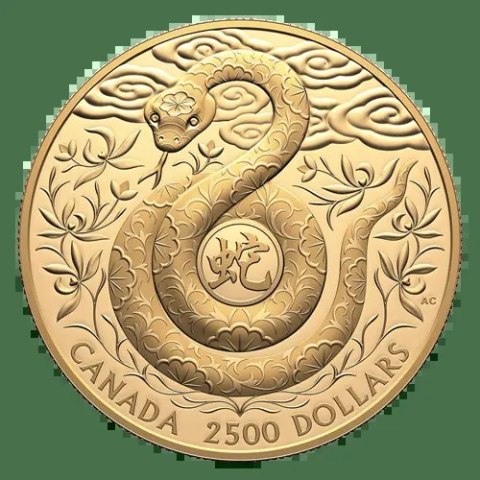 1 kg złota moneta Rok Węża 2025 – Lunar z Królewskiej Mennicy Kanadyjskiej w pudełku prezentowym