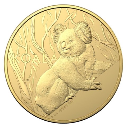1 oz Koala 2024 Złota Moneta z Royal Australian Mint