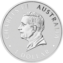 1 oz Silver Koala Coin | 2026