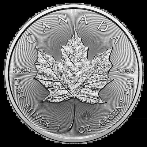 1 oz Maple Leaf Silver Coin | 2025