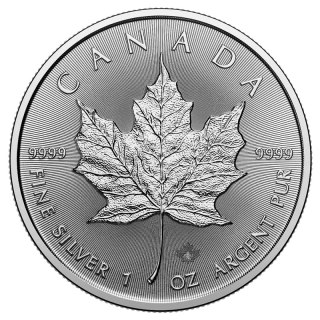 1 oz Maple Leaf Silver Coin | 2026