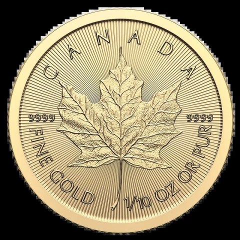 1/10 oz Gold Coin | Slightly Damaged