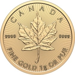 25 x 1 g Maple Leaf MapleGram 2026 gold coins blister