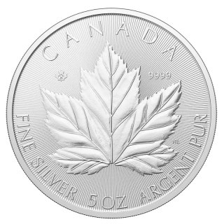 5 oz Big Maple Leaf Silver Coin | 2026